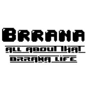 brranalogo